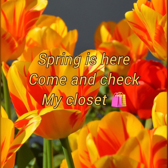 Come take a look - Picture 2 of 5